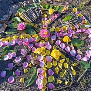 despacho2 heart crystal healing 2026