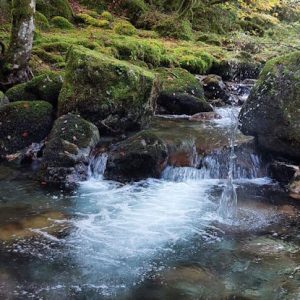 bach am l'etang bleu weg heart crystal healing