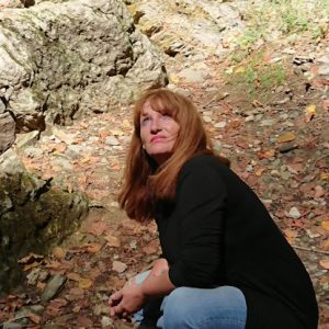 nicole fauler elementar lichtwesen